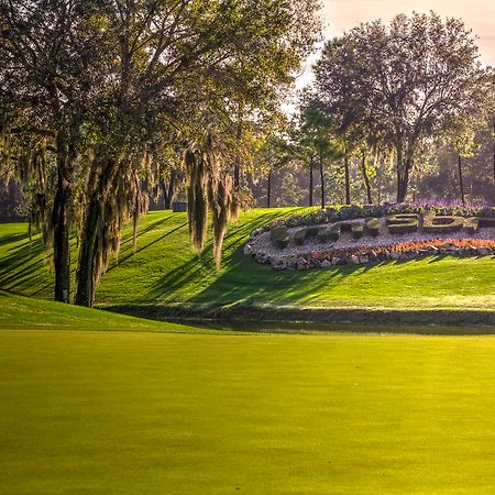 Innisbrook Resort Palm Harbor Kültér fotó
