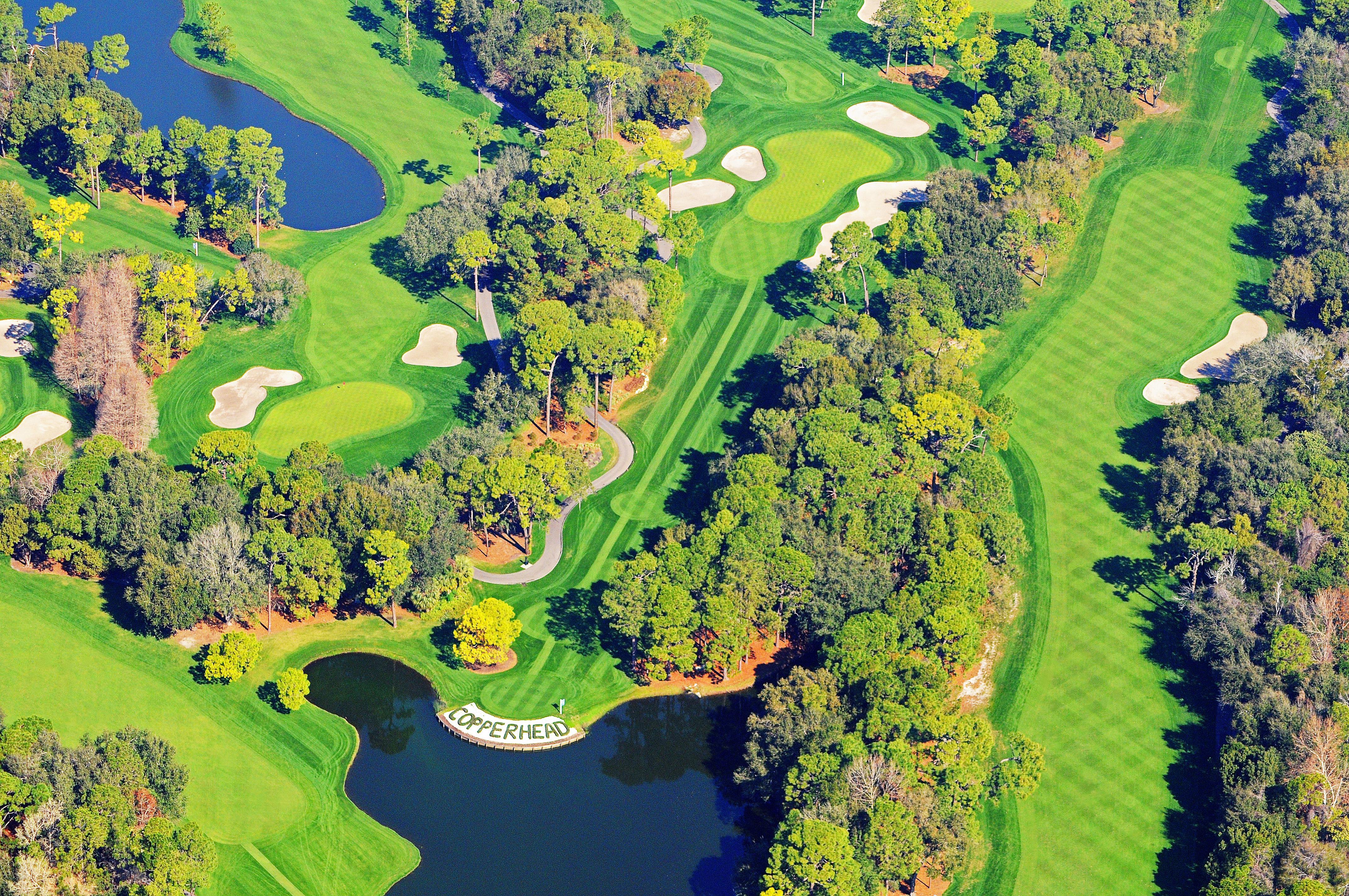 Innisbrook Resort Palm Harbor Kültér fotó